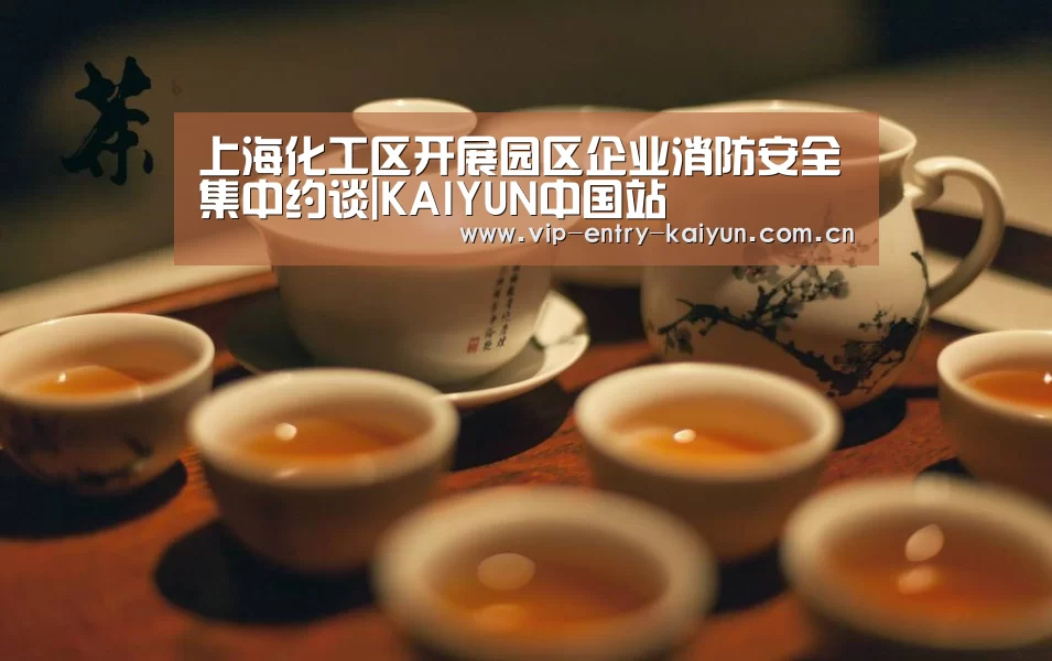 上海化工区开展园区企业消防安全集中约谈|KAIYUN中国站(图2) KAIYUN中国站