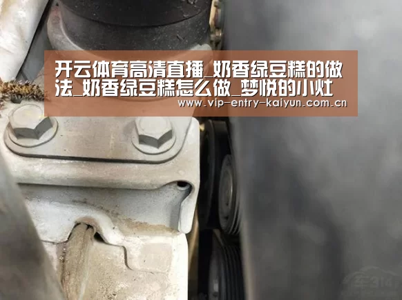 开云体育高清直播_奶香绿豆糕的做法_奶香绿豆糕怎么做_梦悦的小灶炉的菜谱(图4) 开云体育入口