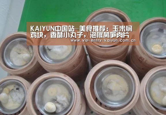 KAIYUN中国站