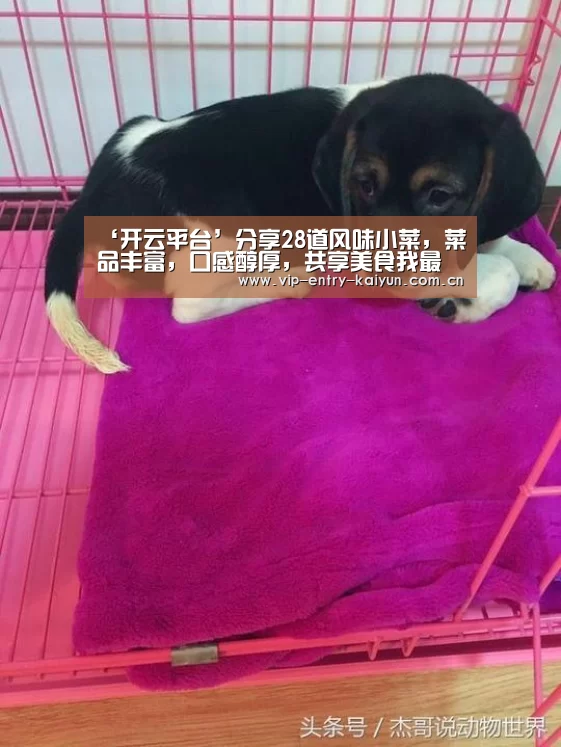 ‘开云平台’分享28道风味小菜,菜品丰富,口感醇厚,共享美食我最快乐(图1) 开云平台